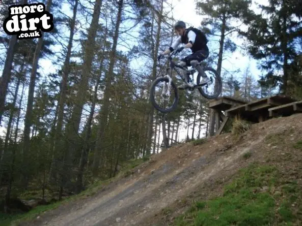 Freeride Park - Glentress