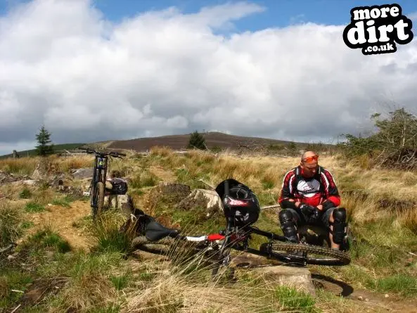 Up and Over Trail - Kielder Forest