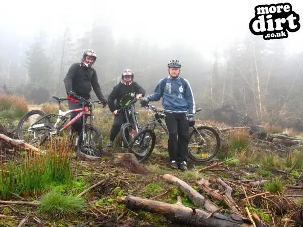 Deadwater Trail - Kielder Forest