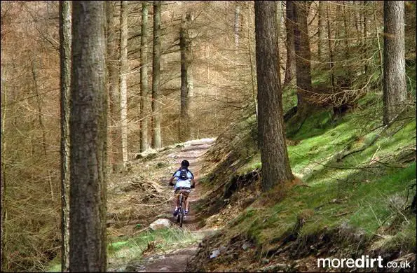 Twrch Trail - Cwmcarn