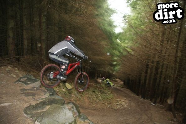 Innerleithen Mountain Bike Trails