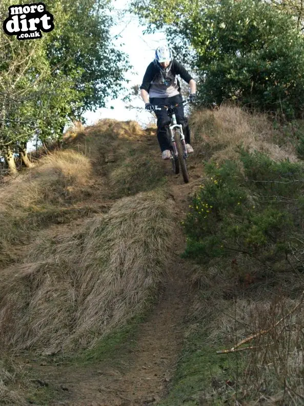 Leckhampton Hill Trails