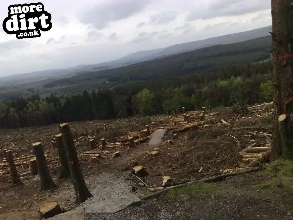 Gisburn Forest Mountain Bike Trails