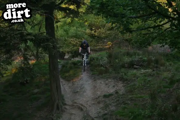 Rivington Moor