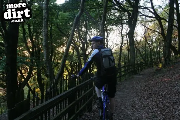 Rivington Moor