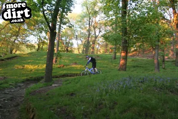 Rivington Moor