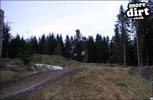 Freeride Park - Glentress