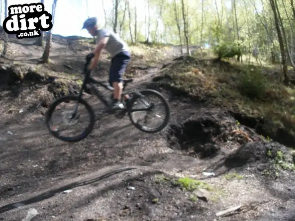 Downhill Trails - Forest of Dean