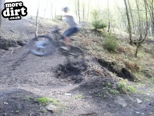 Downhill Trails - Forest of Dean