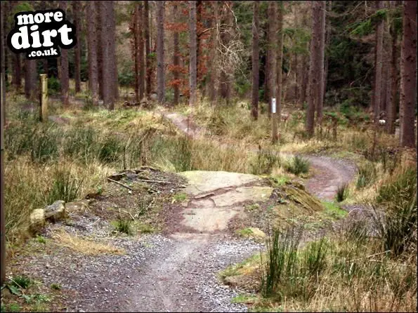 Hamsterley Forest Mountain Bike Trails