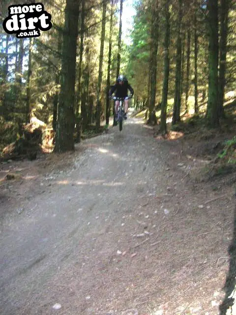 Black Trail - Coed Llandegla Forest