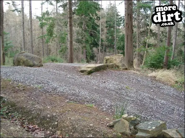 Hamsterley Forest Mountain Bike Trails