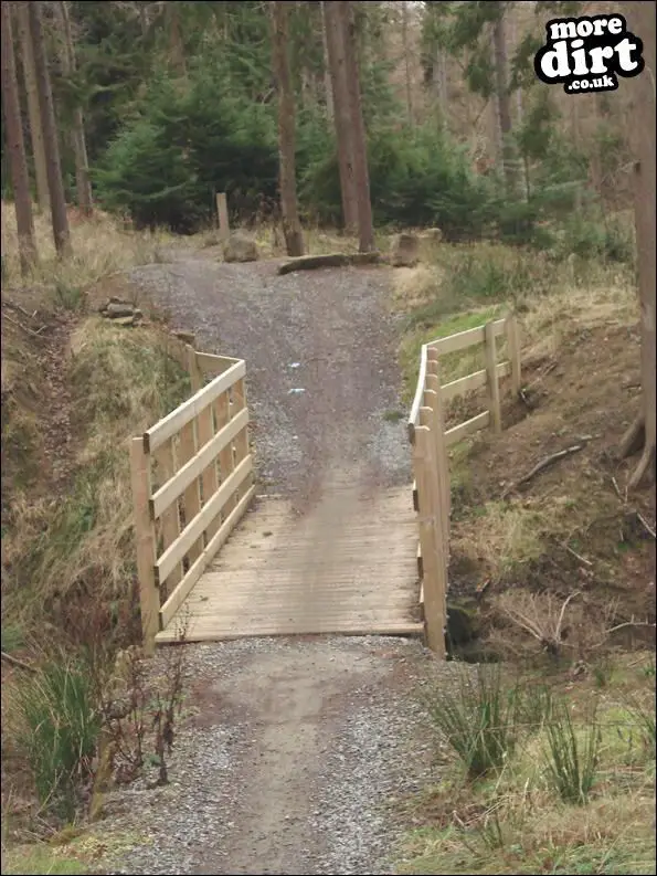 hamsterley forest bike park