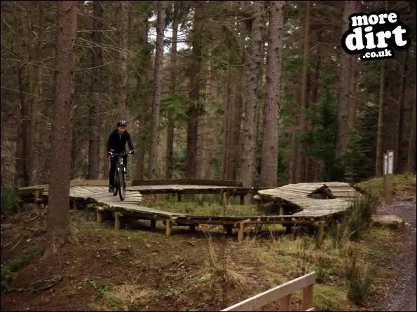 Hamsterley Forest Mountain Bike Trails