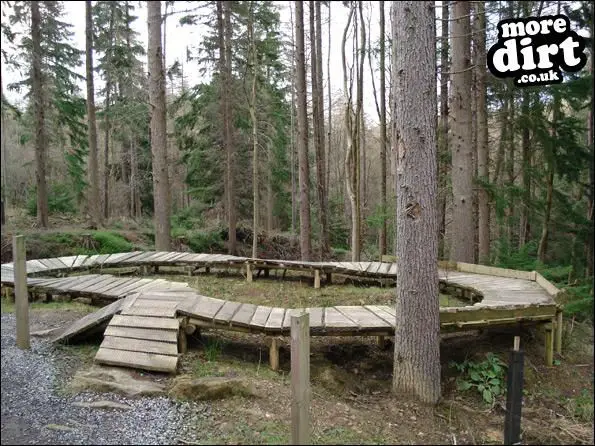 hamsterley forest bike park