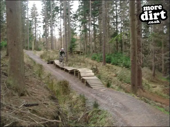 Hamsterley Forest Mountain Bike Trails