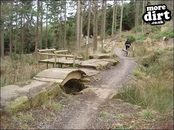 Hamsterley Forest Mountain Bike Trails