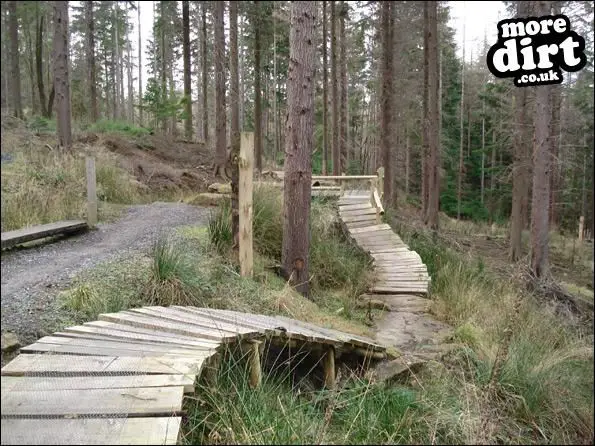 Hamsterley Forest Mountain Bike Trails