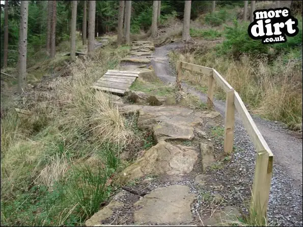 Hamsterley Forest Mountain Bike Trails