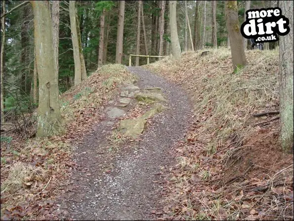 Hamsterley Forest Mountain Bike Trails