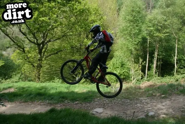 Y Mynydd Downhill - Cwmcarn