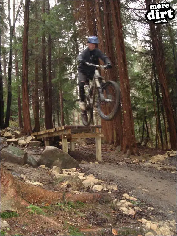 Hamsterley Forest Mountain Bike Trails