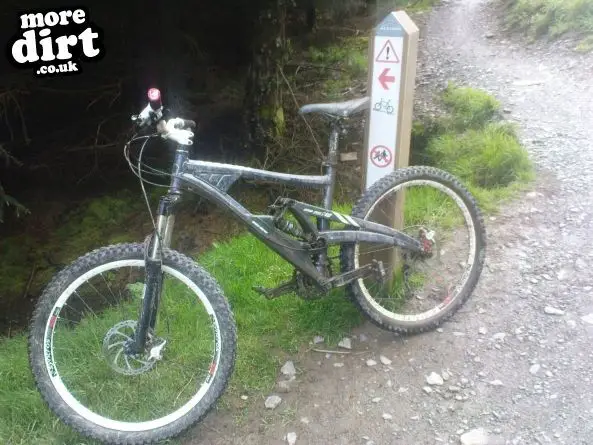 Altura Trail - Whinlatter Forest