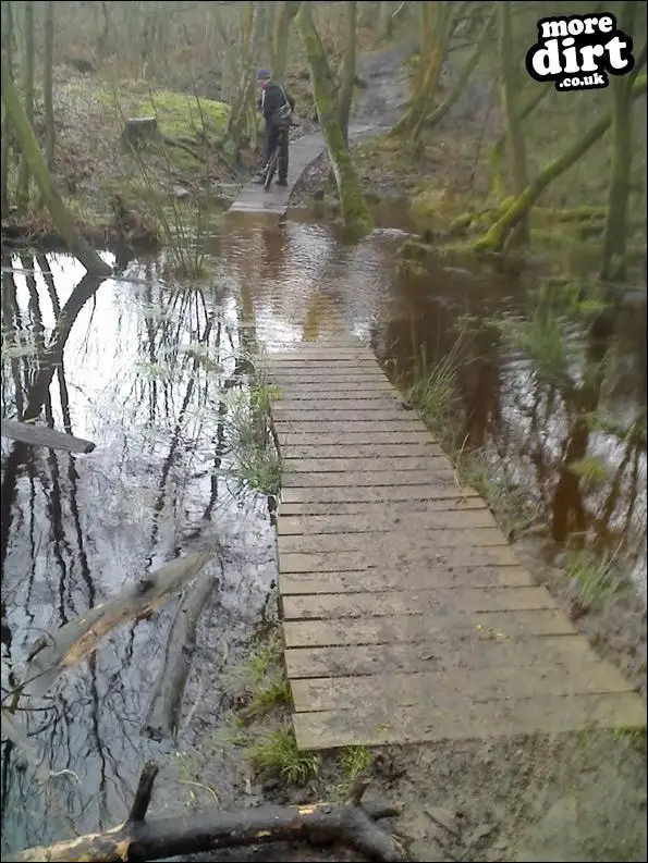 Delamere Forest Park