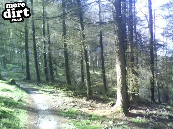 Whites Level Trail - Afan Forest