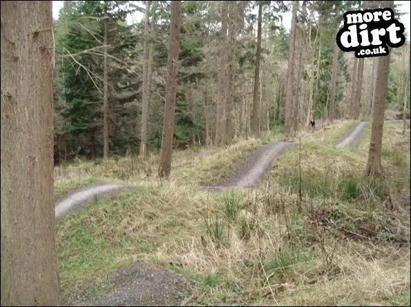 hamsterley forest bike park