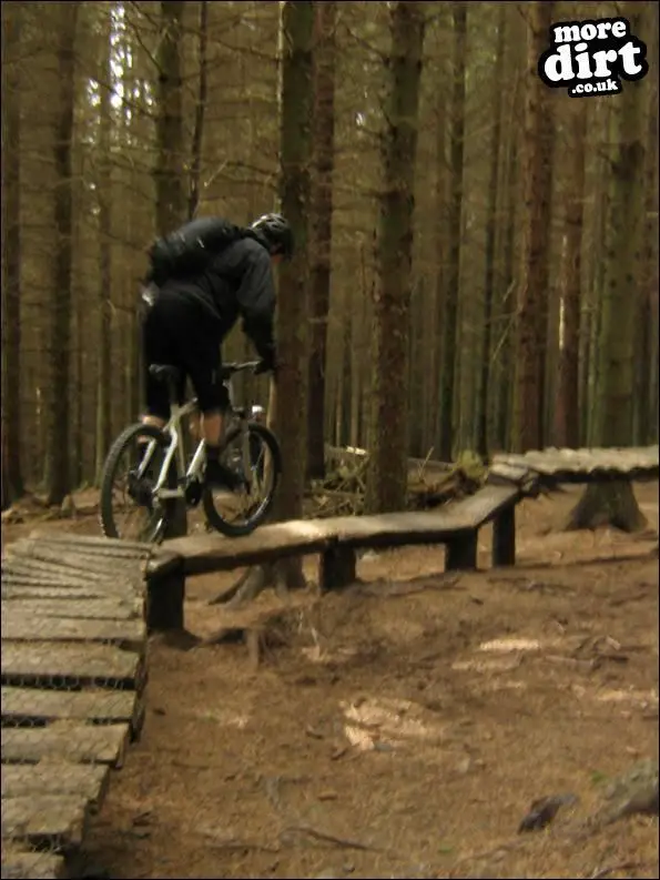 The Red Trail - Glentress