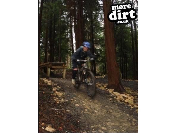 Hamsterley Forest Mountain Bike Trails