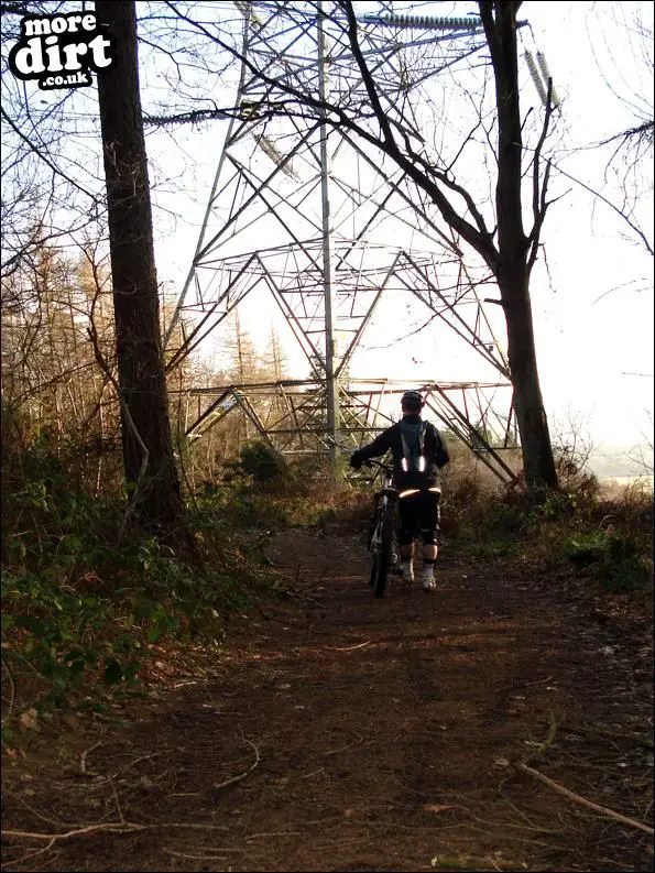 Powerline Trail - Chopwell