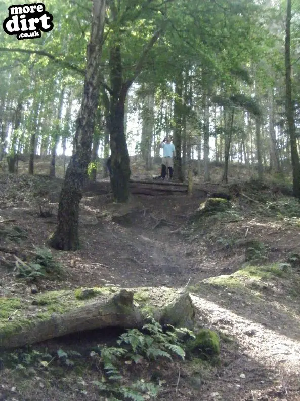 Rogate Downhill Mountain Bike Park