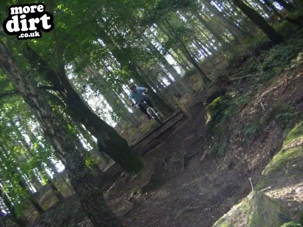 Rogate Downhill Mountain Bike Park