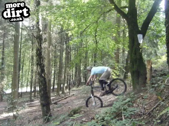 Rogate Downhill Mountain Bike Park