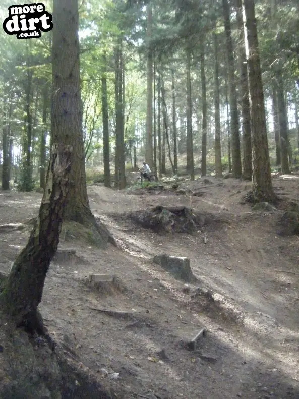 Rogate Downhill Mountain Bike Park