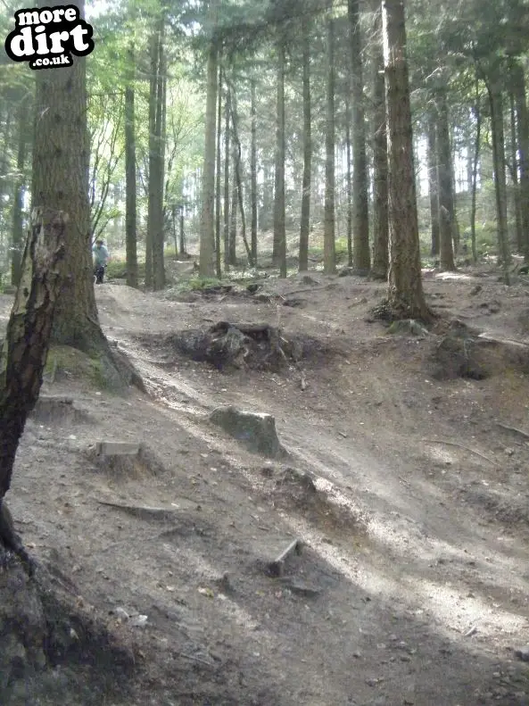 Rogate Downhill Mountain Bike Park