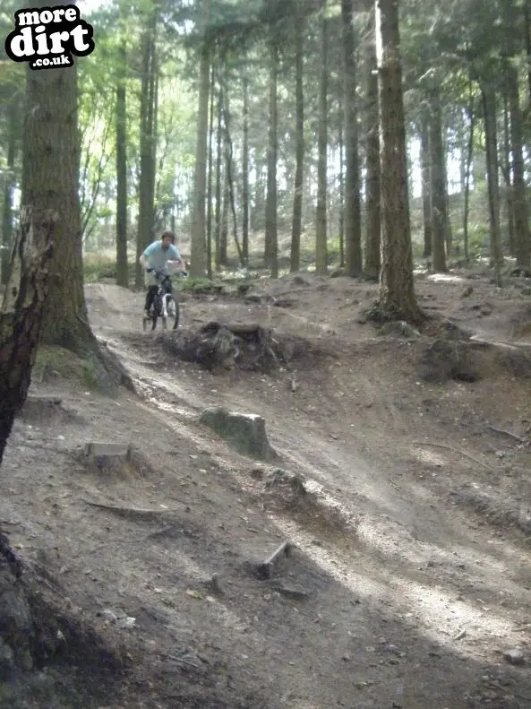 Rogate Downhill Mountain Bike Park