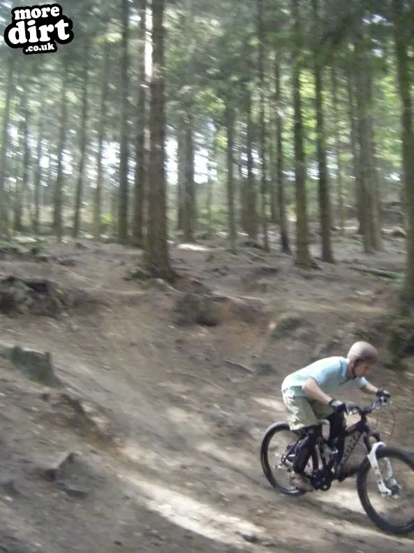 Rogate Downhill Mountain Bike Park