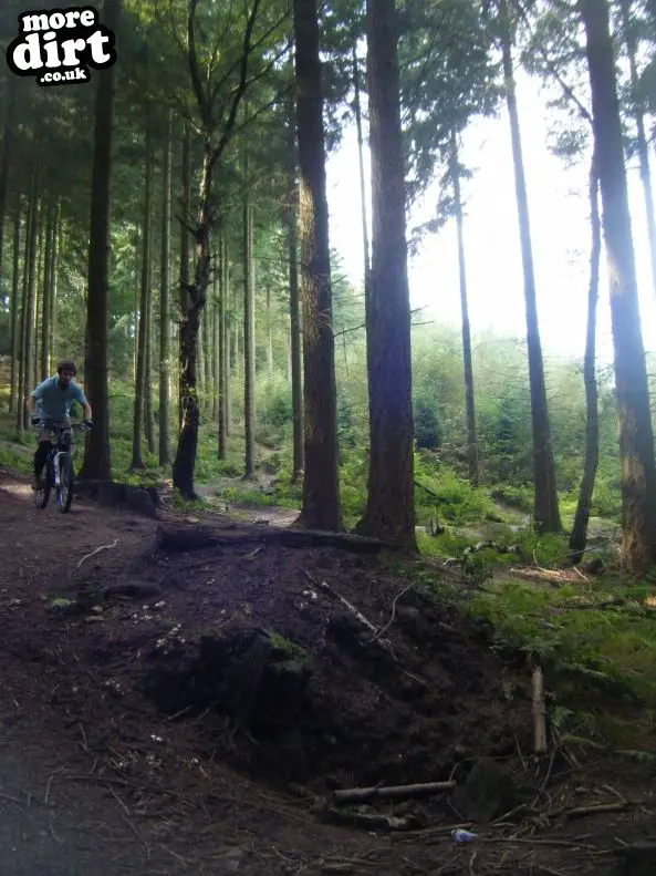 Rogate Downhill Mountain Bike Park