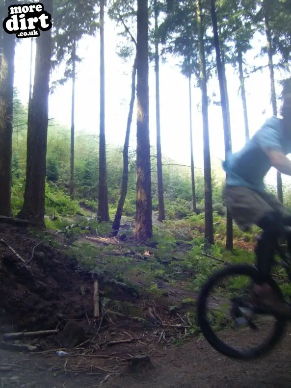 Rogate Downhill Mountain Bike Park