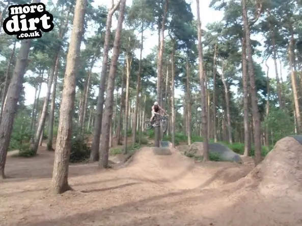 Chicksands Bike Park