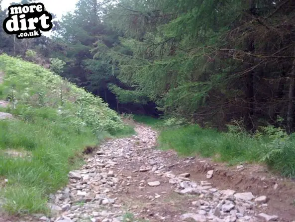 Whites Level Trail - Afan Forest