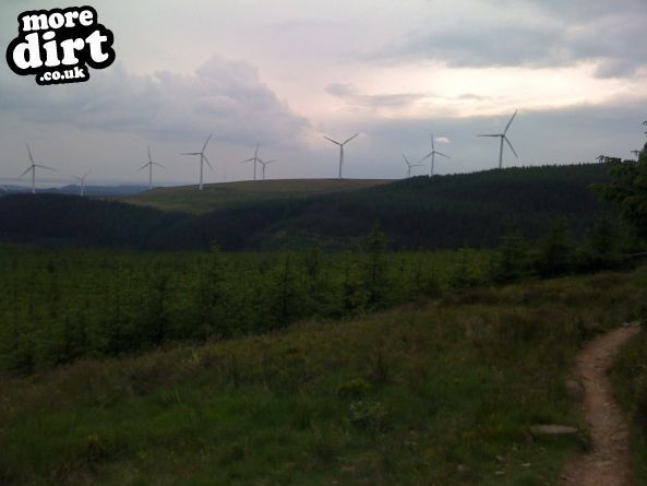 Whites Level Trail - Afan Forest