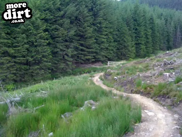 Whites Level Trail - Afan Forest