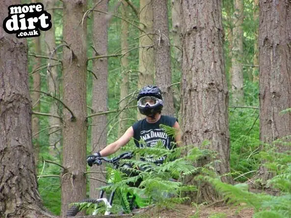 Kinver Freeride Park