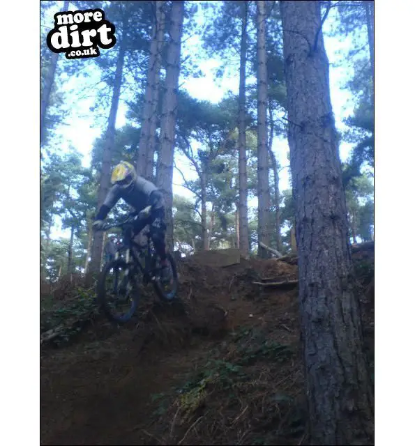 Chicksands Bike Park