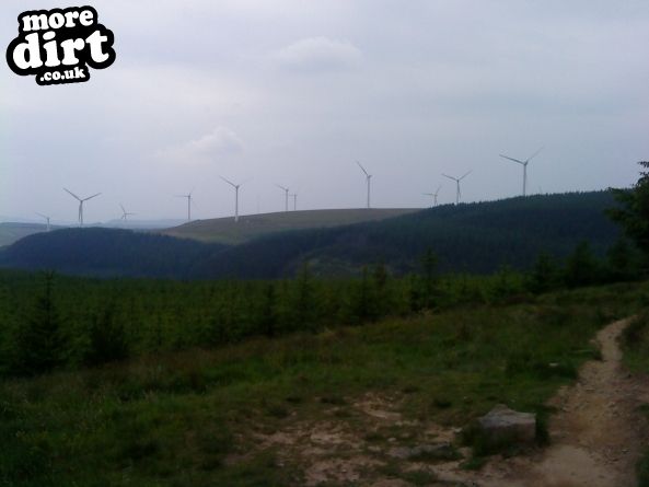 Whites Level Trail - Afan Forest