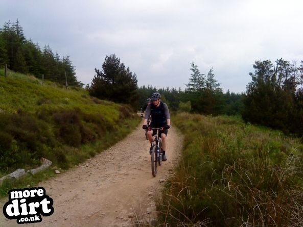 Whites Level Trail - Afan Forest